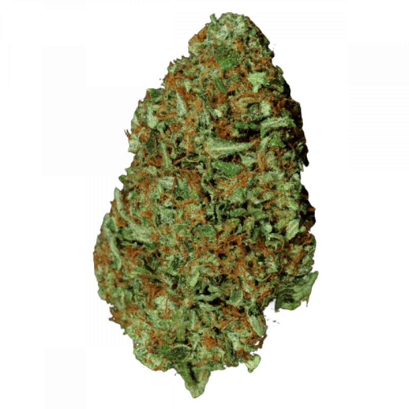 Fem Afghan Original