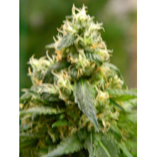 Auto fem Gandalf’s Pipe